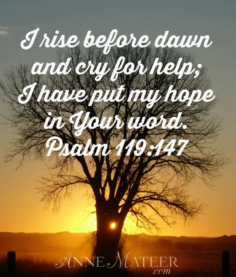 A Sunday Psalm D Ann Mateer a-sunday-psalm-d-ann-mateer